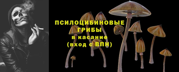 стаф Магадан