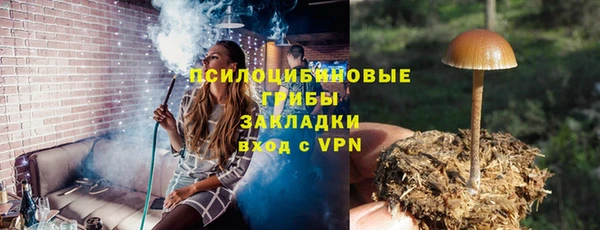 стаф Магадан